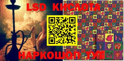 прущие грибы Гусев