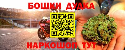 прущие грибы Гусев