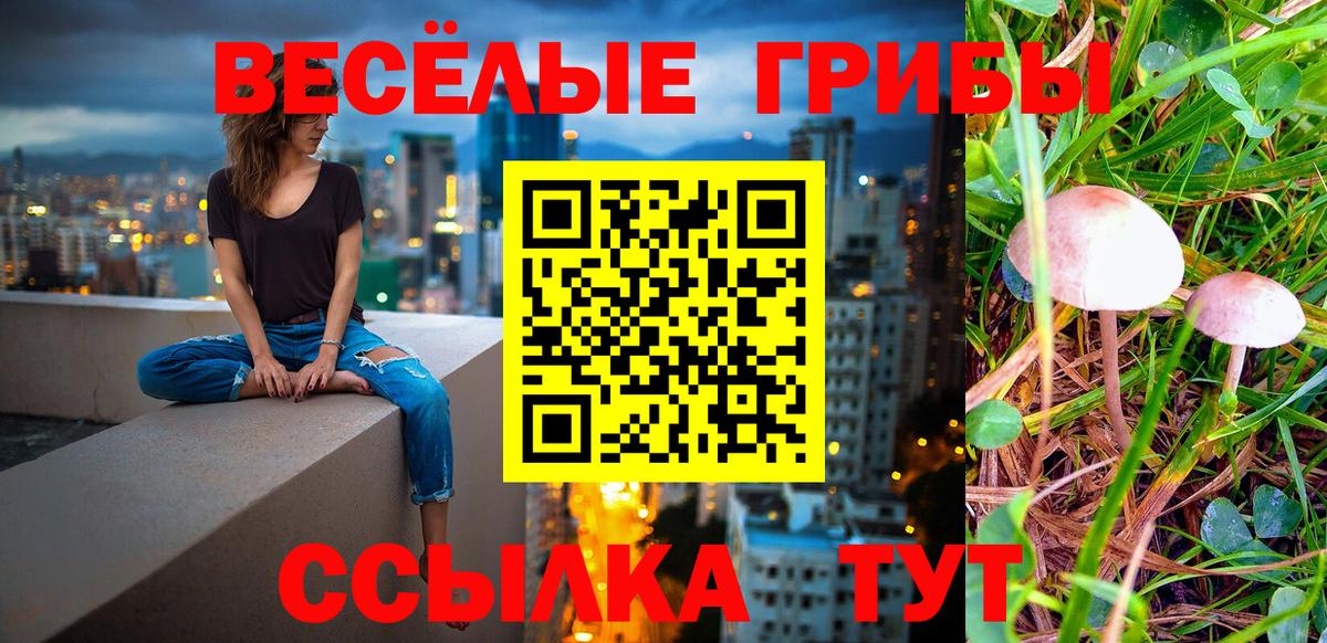 Псилоцибиновые грибы ЛСД  Вход с VPN  Знаменск 