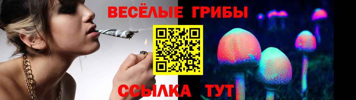 Галлюциногенные грибы мицелий Знаменск